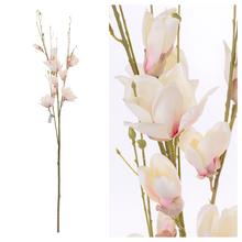 Větve MAGNÓLIA KVĚT RŮŽOVÝ 155cm - FLORASYSTEM