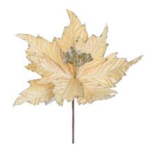 VIAN. RUŽA/POINSETIA BL. ZLATÁ 29CM - Ks květ vánoční | FLORASYSTEM