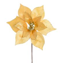 VIAN. RUŽA/ POINSETIA ZLATO-ZLATÁ 20CM - Ks květ vánoční | FLORASYSTEM