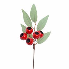 KONÁRIK EUCALYPT, ČERVENÉ BOBULE 24CM - Bobule červené | FLORASYSTEM