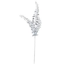 VIAN. PAPRAĎ STRIEBORNÁ 45CM - FLORASYSTEM