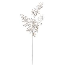 VIAN. PAPRAĎ ŠAMPAN 42CM - FLORASYSTEM