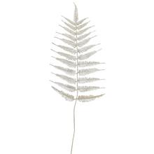 KONÁRIK PAPRAĎ CHAMPAN 110CM - Větev zimní | FLORASYSTEM