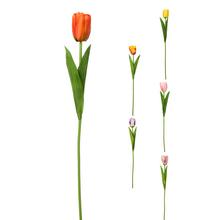 SUPER CENA! KS TULIPÁN 6F 48cm - FLORASYSTEM
