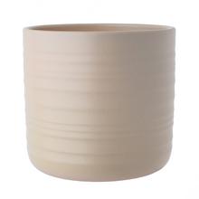 65570 OBAL DRY REED 850/20 - FLORASYSTEM