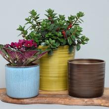 Obal jednobarevný - Keramika a jiný materiál | FLORASYSTEM