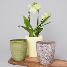 Obal orchidej - Keramika a jiný materiál | FLORASYSTEM