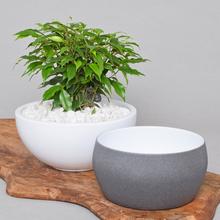 Obal mísa - Keramika a jiný materiál | FLORASYSTEM