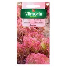Salát listový CRIMSON 1g - FLORASYSTEM