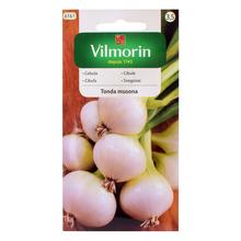 CIBULE TONDA MUSONA 2g - ostatné | FLORASYSTEM