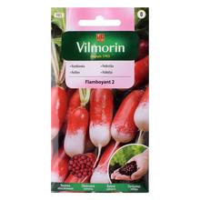 REĎKOVKA FLAMBOYANT červ.-biela 300.sem 3g - ostatné | FLORASYSTEM