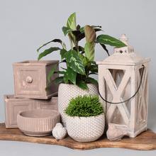 Cement - Keramika a jiný materiál | FLORASYSTEM