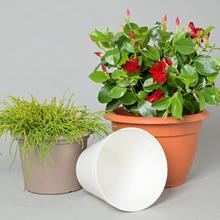 Okrúhly s dierkami - Obaly kulaté | FLORASYSTEM