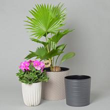 Okrúhly nízky s vkladom - Obaly kulaté | FLORASYSTEM