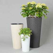 Okrúhly vysoký s vkladom - Obaly kulaté | FLORASYSTEM