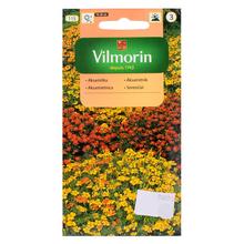 Aksamitník tenkolistá 0,5g - FLORASYSTEM