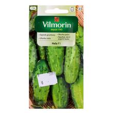 Okurky HELA 5g - ostatné | FLORASYSTEM