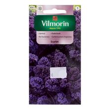 Kadeřávek SCARLET 2g - ostatné | FLORASYSTEM