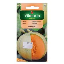 MELÓN CUKROVÝ CHARENTAIS 1g - ostatné | FLORASYSTEM