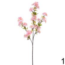 Konár čerešne mix s ružovými a bielymi kvetmi.