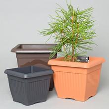Obal štvorcový - Obaly s vkladem | FLORASYSTEM