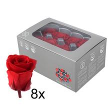 Ruža preparovaná RED 4cm/ks - FLORASYSTEM