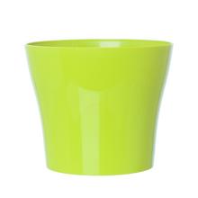AKCIA OBAL TULIPÁN ZELENÉ JABLKO 22Xh19,5CM - FLORASYSTEM