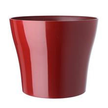 AKCIA OBAL TULIPÁN VÍNOVÝ 19xh16CM - FLORASYSTEM