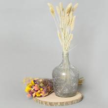 Sušené kvety a zeleň - Aranžérský materiál | FLORASYSTEM