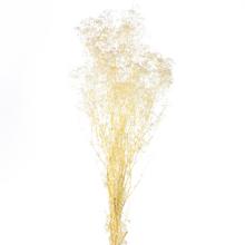 Gypsophila - bielená sušená /zv - FLORASYSTEM