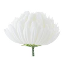 HLAVA chryzantémy bílá 10cm - FLORASYSTEM