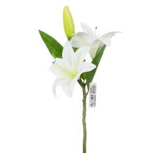 KS ĽALIA BIELA X3 41cm  - Lilie | FLORASYSTEM
