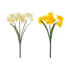 KYTICA NARCIS 3 STONKY 2F 45cm - FLORASYSTEM