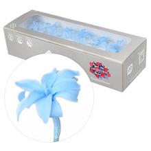 NARDOS PREPAROVANÝ LIGHT BLUE 2/5cm/ks - stabilizované kvety | FLORASYSTEM