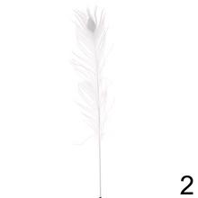 Pávie perá v rôznych farbách, dĺžka 90 cm.