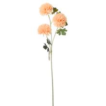 KS CHRYZANTÉMA X3 66CM MARHUĽOVÁ - FLORASYSTEM