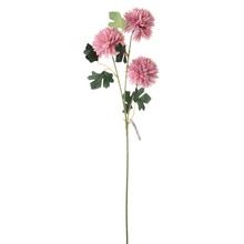 KS CHRYZANTÉMA X3 66CM RUŽOVÁ - FLORASYSTEM