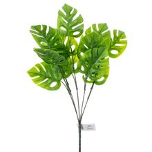 ZÁPICH MONSTERA LISTY 35cm - List | FLORASYSTEM