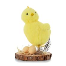 KURIATKO ŽLT NA DREV. PLÁTE S VAJÍČKAMI, PIERKOM 12CM - Kuřátka | FLORASYSTEM