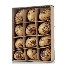 BOX PREPELIČIE VAJÍČKA 12,5*9,5*3CM S/12 - FLORASYSTEM