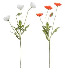 KS PAPAVER 4-ST 2F 60CM - Mák, makovice  | FLORASYSTEM