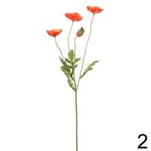 KS PAPAVER 4-ST 2F 60CM - Foto1