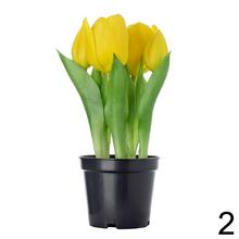 Umelé tulipány v čiernom kvetináči.