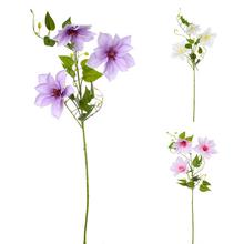 CLEMATIS 3-KVETY,LISTY 3F 72CM - Větev květ | FLORASYSTEM