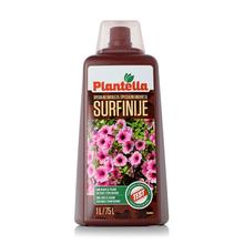 PLANTELLA SURFÍNIE 1L - FLORASYSTEM