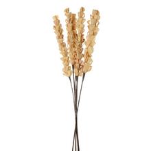 Maize candle kukurica 5ks/bal - FLORASYSTEM
