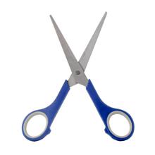 pevná cena Nožnice RON 17cm - Ostatní pomůcky | FLORASYSTEM