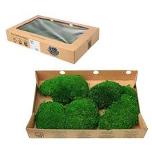 Mach preparovaný 9 BULK dark green Bochníčky - FLORASYSTEM
