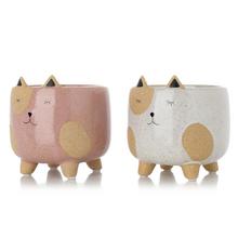 OBAL MAČKA NA NOŽIČKÁCH MIX FARBA 10,5x10,5cm - FLORASYSTEM