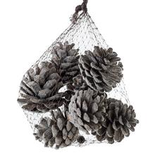 ŠIŠKY zasnež. V SIETKE 200-210g 8ks Pine fruit flocking 8szt/kpl - FLORASYSTEM